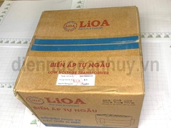 Bộ đổi nguồn 220v sang 110v Lioa 1000W