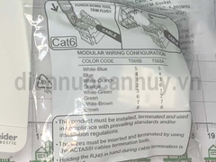 Bộ mặt kèm hạt mạng Cat6 AvatarOn E8331RJS6_WE_G19 Schneider