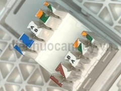 Bộ mặt kèm hạt mạng Cat6 AvatarOn E8331RJS6_WE_G19 Schneider