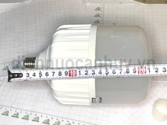Bóng đèn led bulb Rạng Đông trụ TR1401/50W.H trắng
