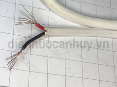 Cáp đồng trục liền dây nguồn camera Sino trắng