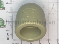 Chếch PPR Tiền Phong 20