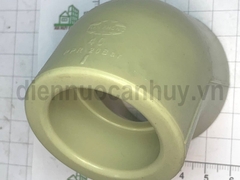 Chếch PPR Tiền Phong 40