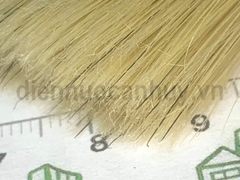 Chổi sơn 3 inch (70mm) Thanh Bình SYN Thăng Long
