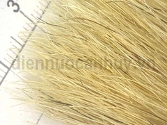 Chổi sơn lông heo thanh binh cán trắng rộng 2 inch (50mm)