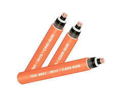 CÁP 1 LÕI, MÀN CHẮN SỢI ĐỒNG, KHÔNG GIÁP - C(A)XV/CWS-W 1X? - 6/10 (12)KV