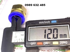 Đầu Nối Khí Ống 12 Ren 10 (12-1/8)