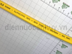 Dây điện đôi Cadisun VCTFK 2x6.0 ô van