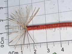Dây điện đơn mềm Cadivi VCm 1x1.5 (1x30/0.25) đỏ