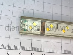 Dây led 220V Rạng đông as đổi mầu