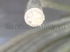 Dây cáp thép bọc nhựa 8mm mầu trong