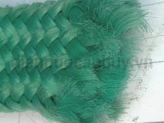 Dây dù xanh rẻ 2cm