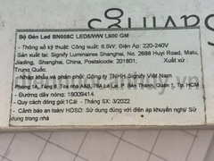 Đèn T5 Philips - 0.6m 6.5W as Vàng