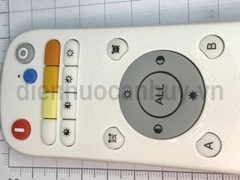 Điều khiển đèn từa xa Rạng Đông RD SC