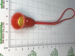 Đui đèn quả nhót