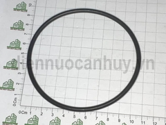 Gioăng cốc lọc máy lọc nước RO 10cm