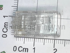 Hạt mạng cat 5 rj45 Commscope