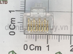 Hạt mạng cat 6 rj45 Commscope