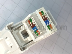 Hạt mạng cat6 Schneider AvatarOn A M3T1RJ6M_WE