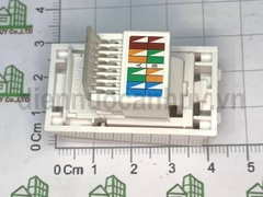 Hạt mạng Cat5 vuông Sino S18CC31RJ5E