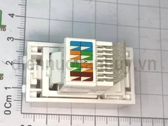 Hạt mạng Cat6 vuông Sino S18CC31RJ6