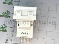 Hạt mạng Cat6 vuông Sino S18CC31RJ6