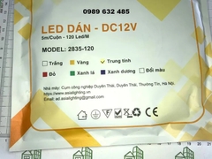 Led dán 12V Mầu trung tính Asia