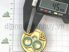 Lõi óc sen Xanh đế cao to 40mm