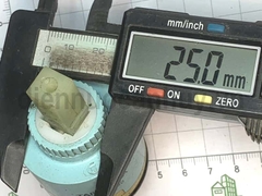 Lõi óc sen Xanh đế cao to 40mm