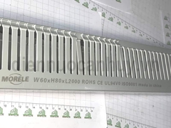 Máng nhựa đi dây tủ điện văn phòng dập lỗ xương cá 60x80x2000mm