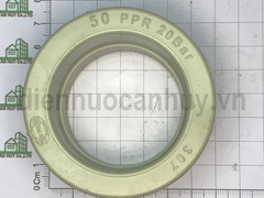 Măng sông nhựa Tiền Phong PPR 50