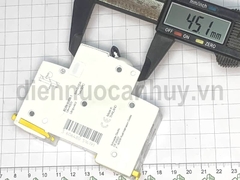 MCB đôi A9K27225 2P25A 6kA Schneider