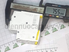 MCB đôi A9K24263 2P63A 6kA Schneider