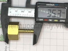 Đuôi Chuột Đồng Ren Trong 21 (1/2