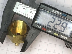 Đuôi Chuột Đồng Ren Trong 21 (1/2