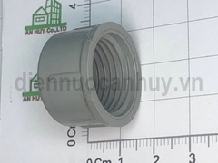 Nút bịt ren trong nhựa PVC 21-12 inch