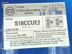 Ổ cắm SINO đôi 3 chấu có màn che cho ổ âm sàn S18CCUE2