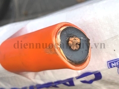 cáp trung thế cadisun CXV/CTS 1x70 24kV 0.125