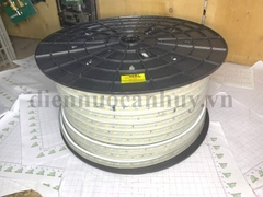 Dây led 220V Rạng đông as đổi mầu