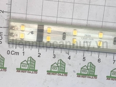 Dây led vàng rạng đông