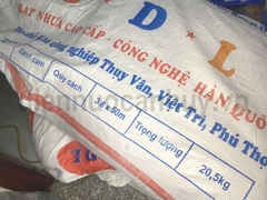 Cây bạt cam ( 50m/ 1 cây rộng 4m)