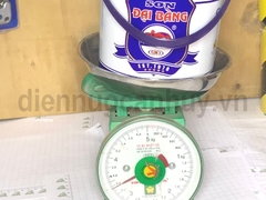 Sơn đại bàng ghi G01 3kg
