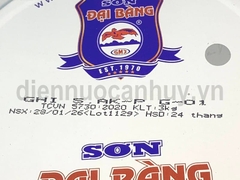 Sơn đại bàng ghi G01 3kg