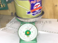 Sơn chống rỉ đại bàng 5kg