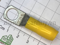 Bọp cos 25 vàng chụp đầu cốt 25