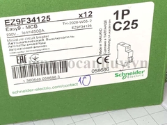 aptoma đơn 1P25A (EASY9 4.5kA 400V MINIATURE) Schneider