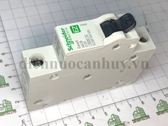 aptoma đơn 1P25A (EASY9 4.5kA 400V MINIATURE) Schneider
