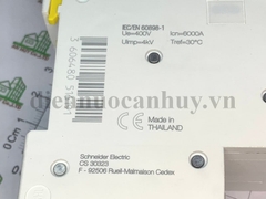 MCB đôi A9K27225 2P25A 6kA Schneider điện áp xung chịu được Uimp =kV (sản xuất Thái Lan)