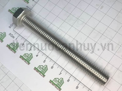 bulong inox 304 M12x100 (bộ)