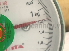 BL đầu côn 5x50 Bulong đầu bằng bake 4 cạnh